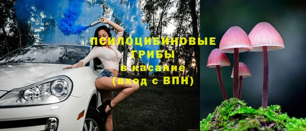 мескалин Алексин