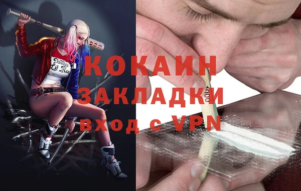 винт Алзамай