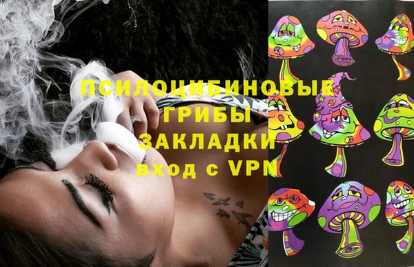 гидра Алексеевка