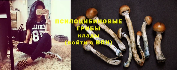 мескалин Алексин
